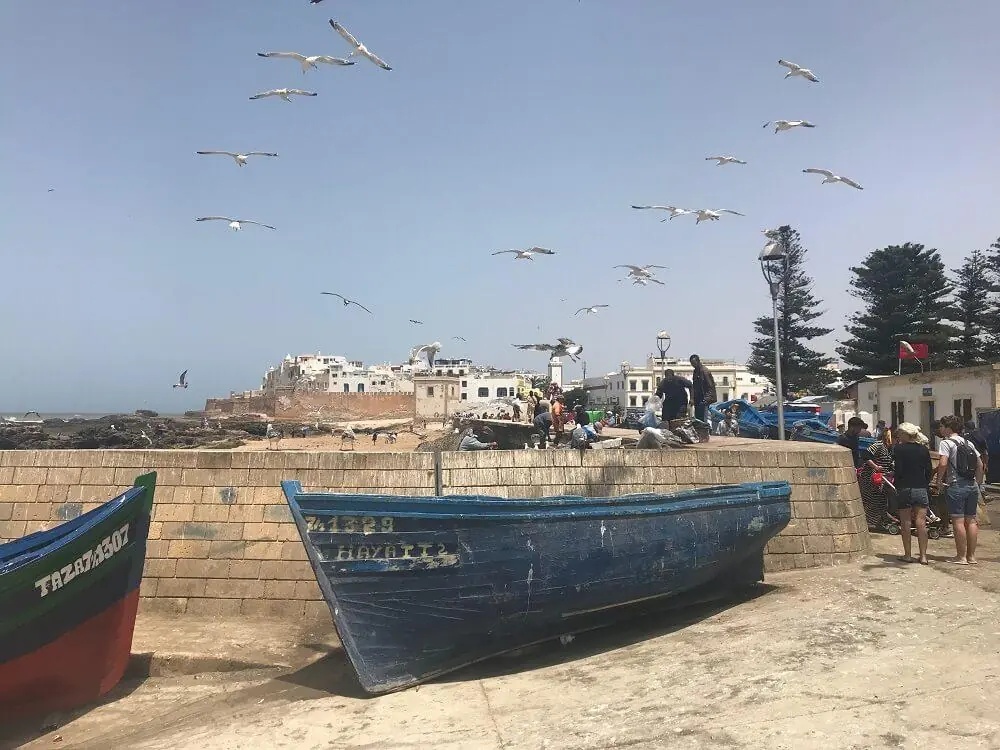 The harbour and ramparts of Essaouira on the one day trip from Marrakech