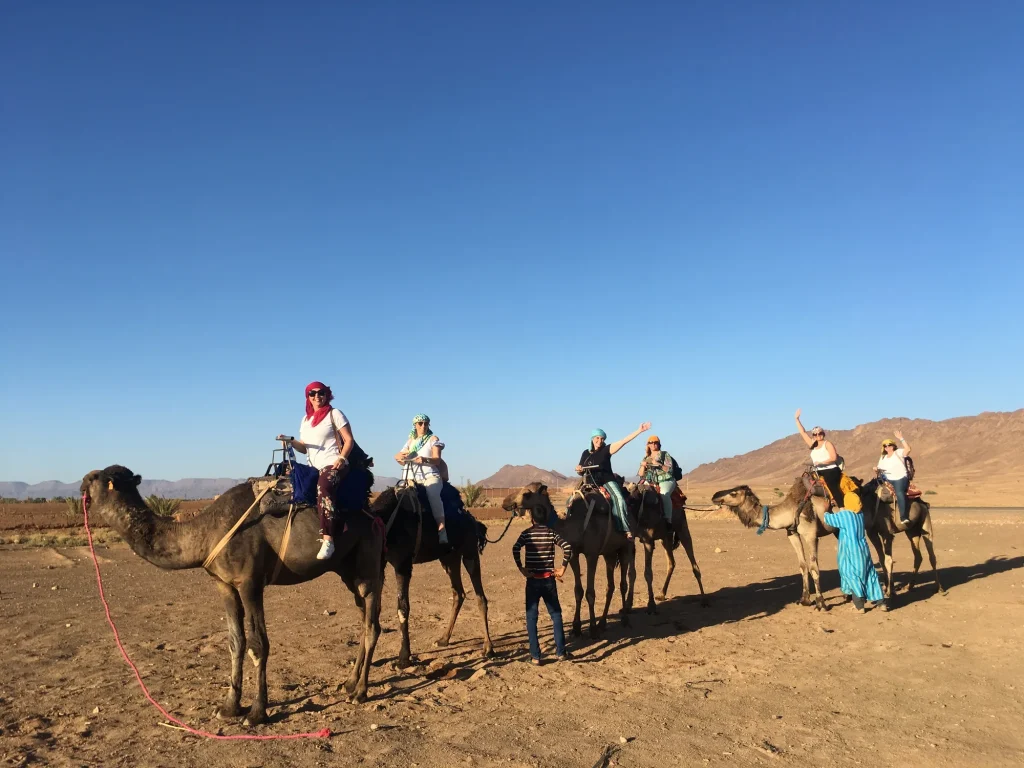 Line of camels and riders setting out across the desert