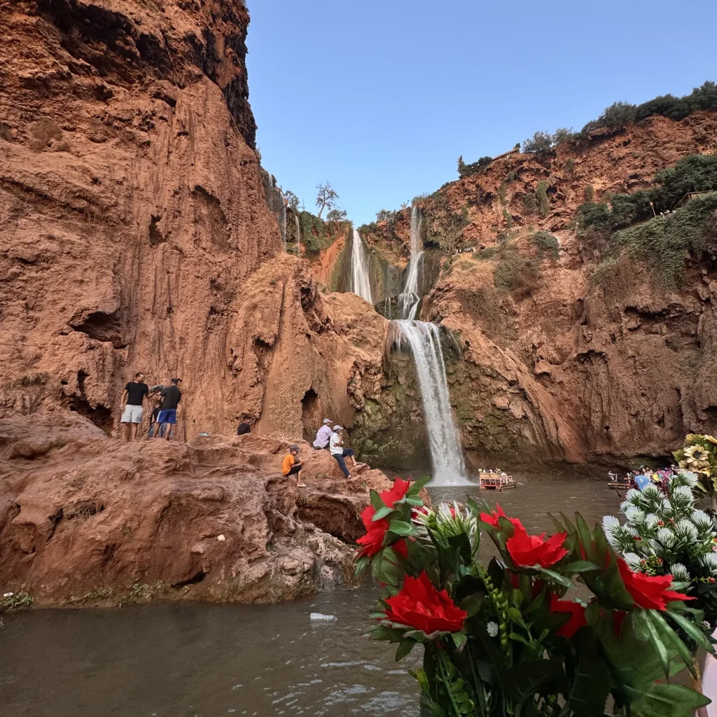 Ouzoud falls with flowers in the foreground